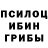 Галлюциногенные грибы GOLDEN TEACHER mek Lio