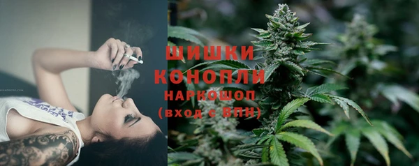 a pvp Аркадак