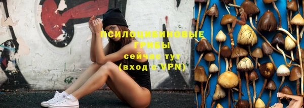 mix Арсеньев