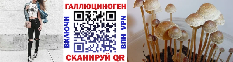 Псилоцибиновые грибы ЛСД  где продают наркотики  Аркадак 